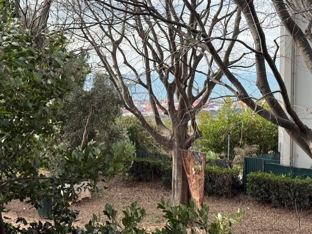 Appartamento Vendita Genova VIA VITTORINI PRA ALTURE