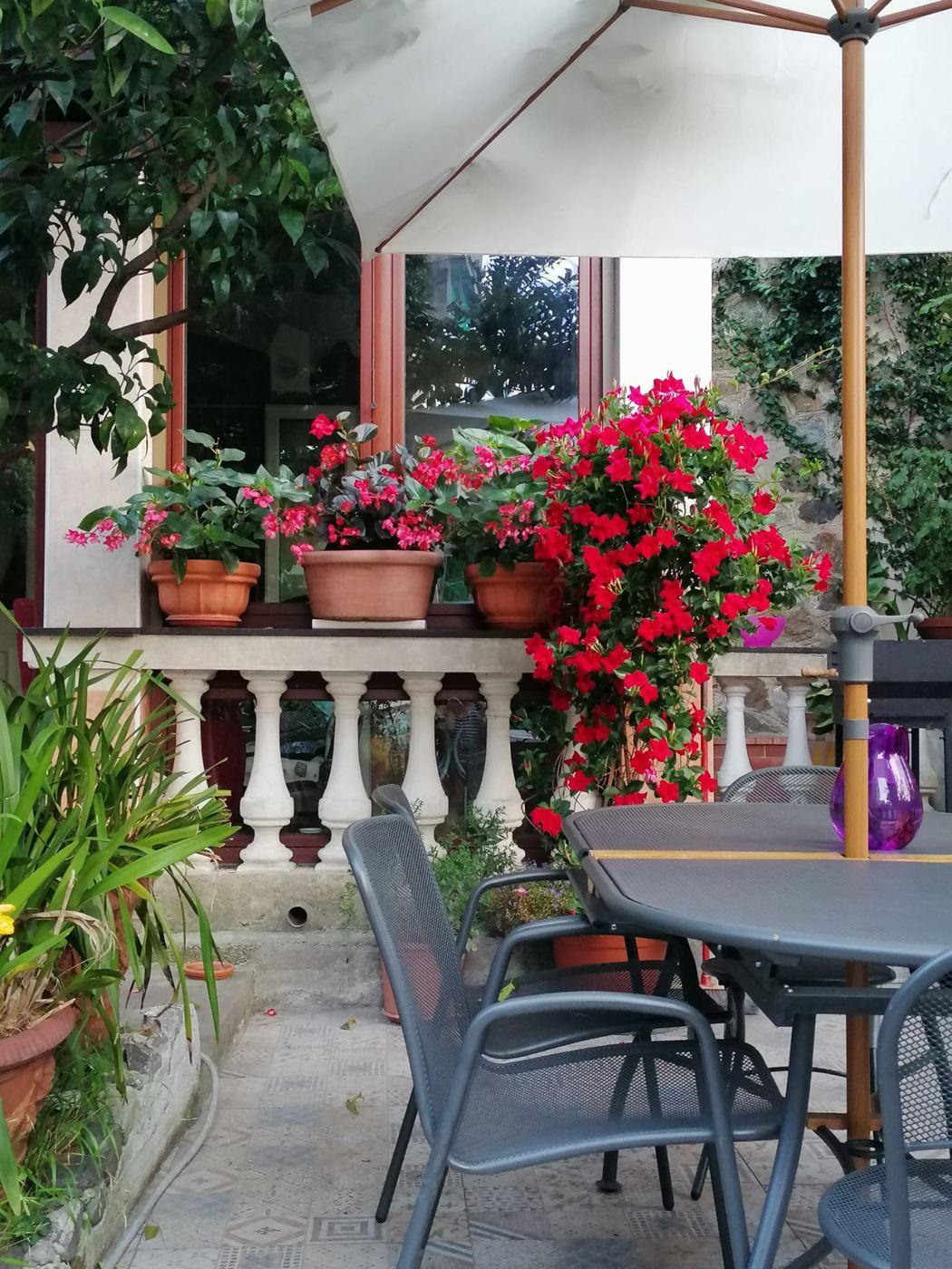 Casa Indipendente Vendita Genova VIALE MODUGNO Pegli centro