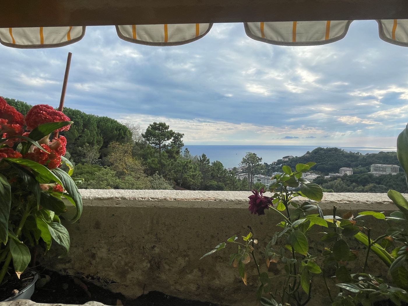 Agriturismo Vendita Genova VIA SALGARI 449 PEGLI